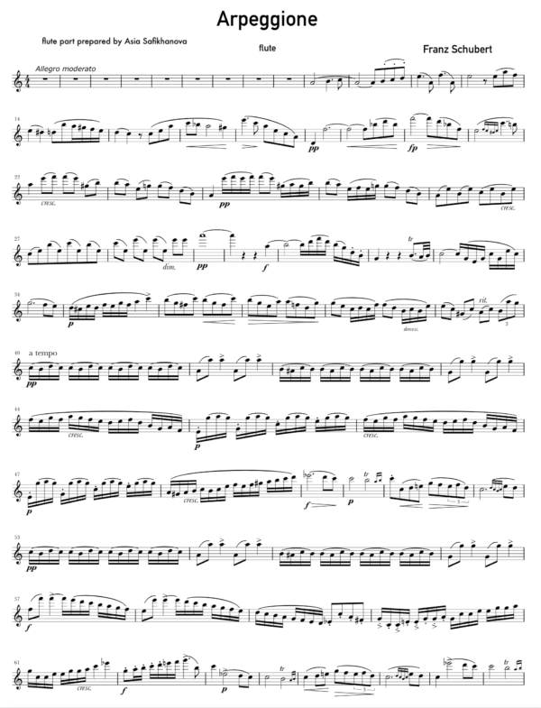 Arpeggione Sonata, D. 821 - Image 5