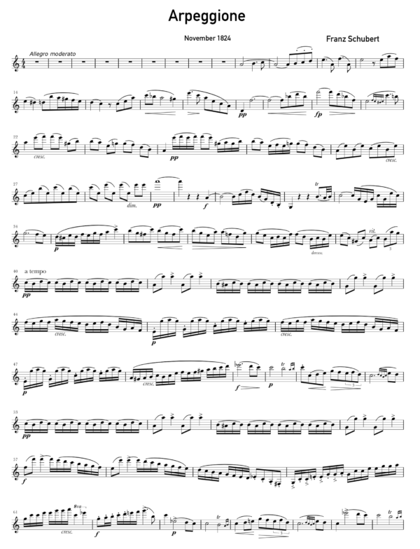 Arpeggione Sonata, D. 821 - Image 3