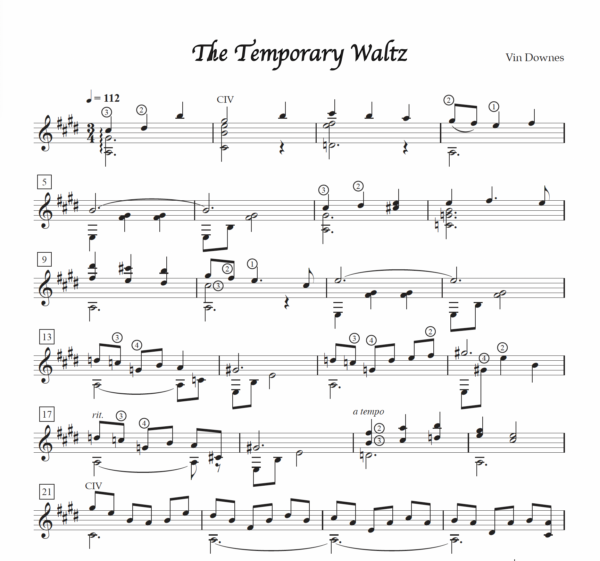 The Temporary Waltz and Old Photos - Image 3
